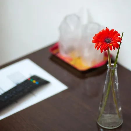 Casa Thomas Bran Guest house Bran (Brasov)
